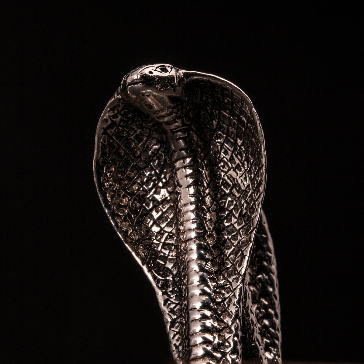 Catena per portafoglio in argento925 con moschettone a forma di cobra e maglia rolo' alternata da teschi e boccole marinare.