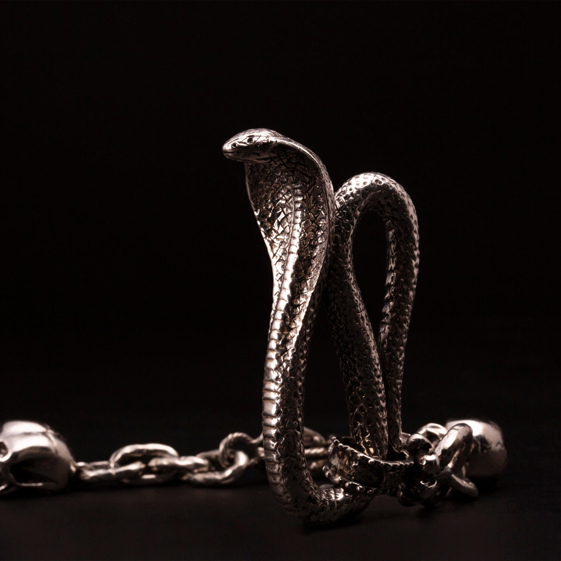 Catena per portafoglio in argento925 con moschettone a forma di cobra e maglia rolo' alternata da teschi e boccole marinare.